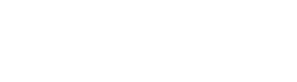 Palo Alto Networks